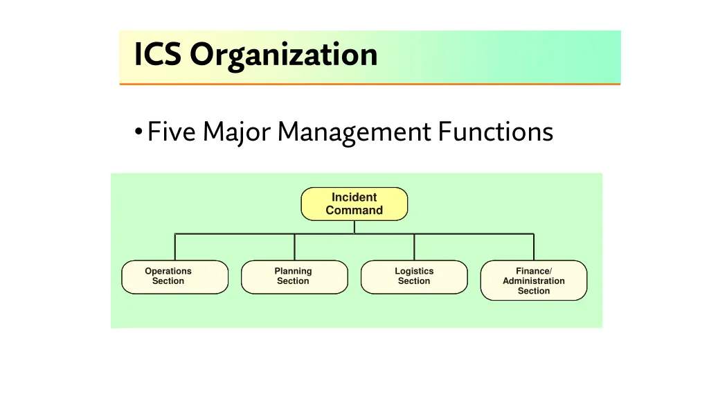 ics organization
