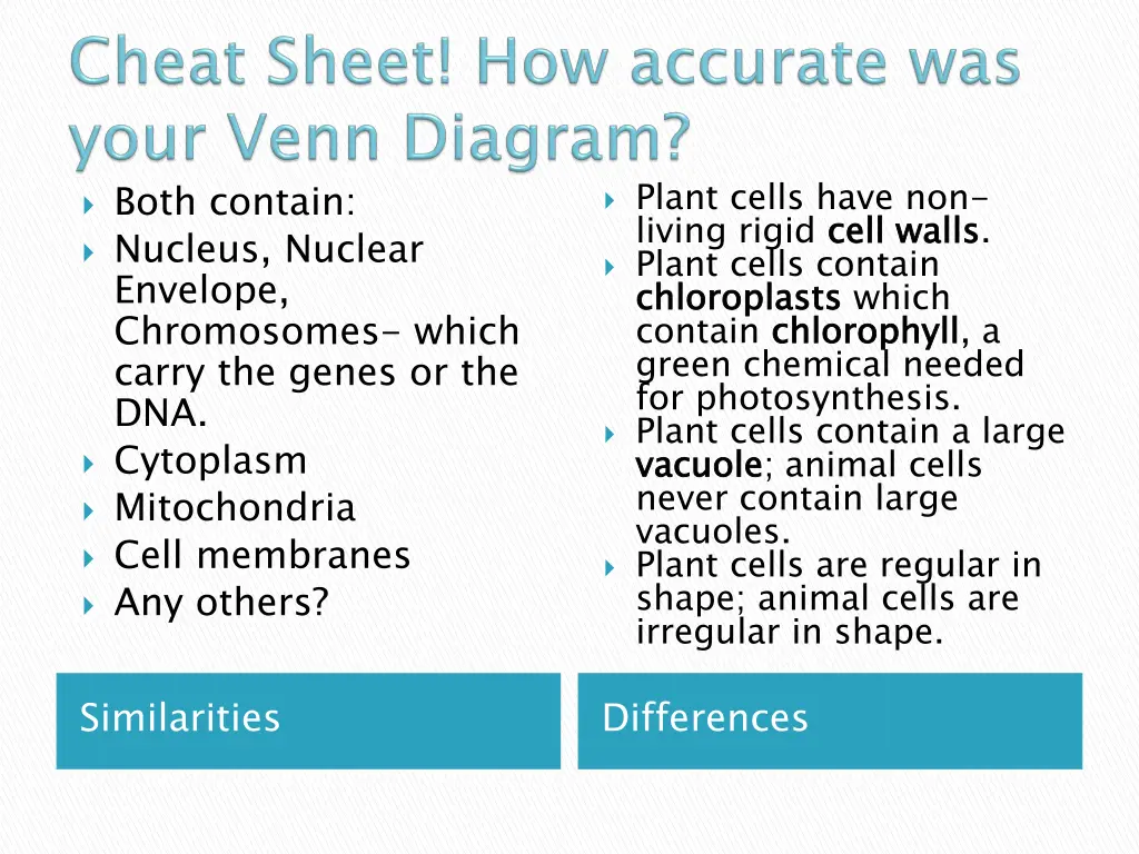 plant cells have non living rigid cell walls