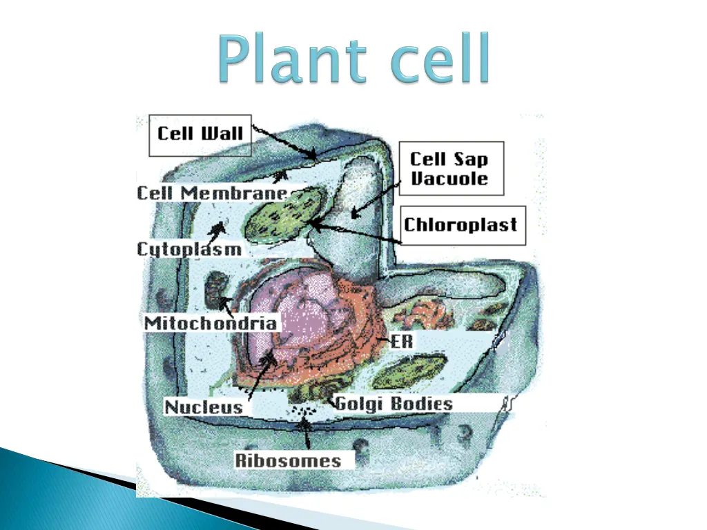 slide7