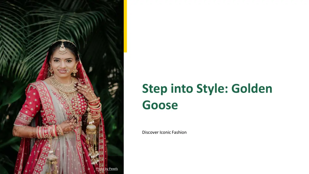 step into style golden goose