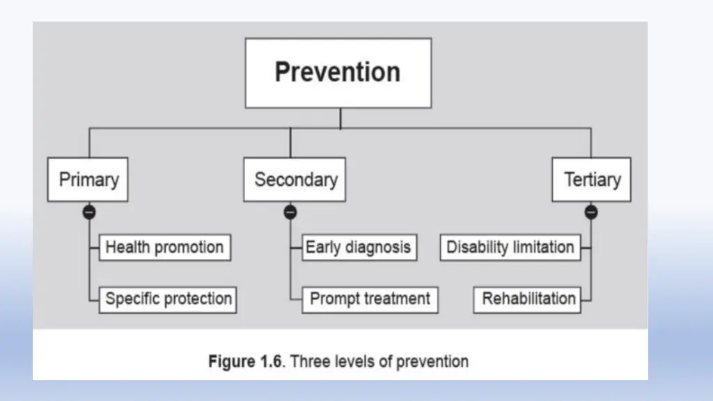 slide15