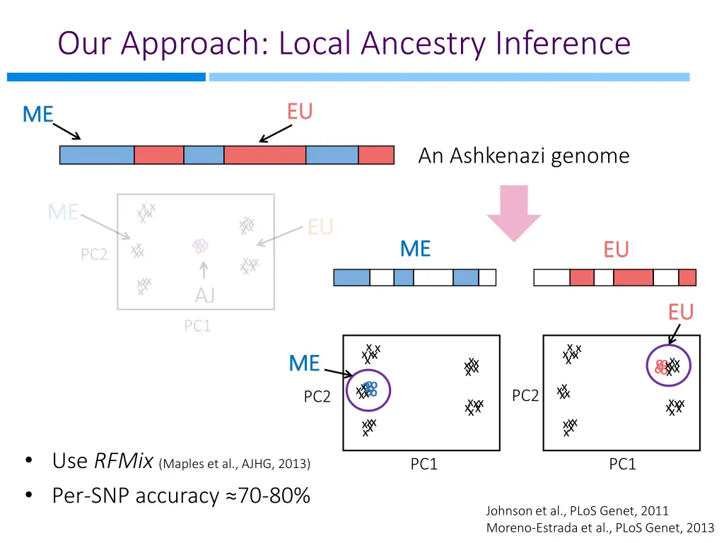 our approach local ancestry inference