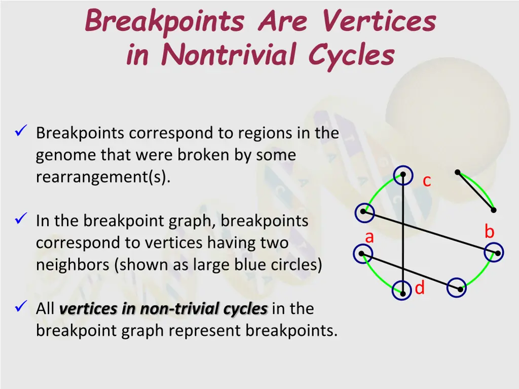 breakpoints are vertices in nontrivial cycles
