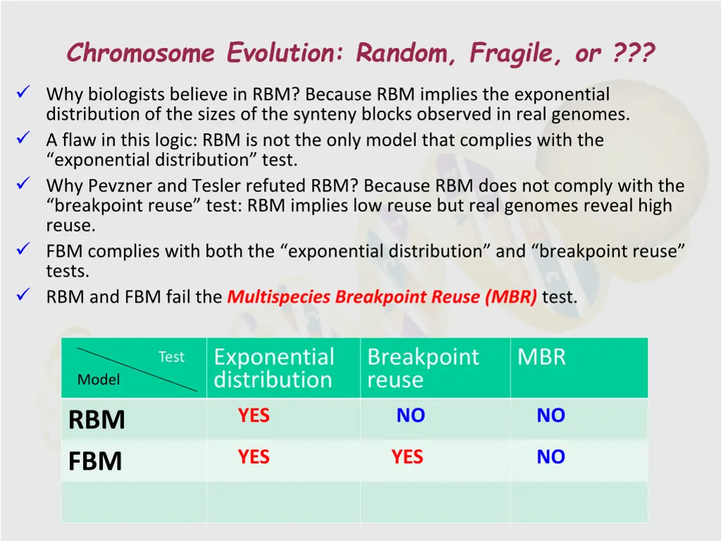 chromosome evolution random fragile or