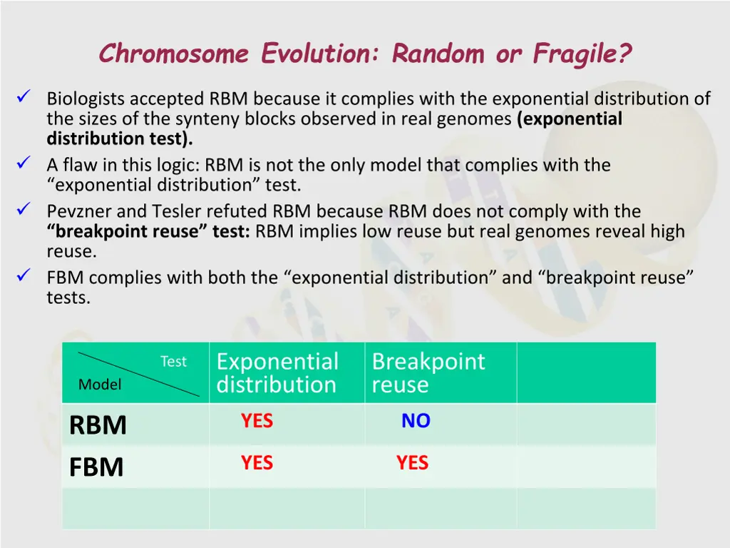 chromosome evolution random or fragile