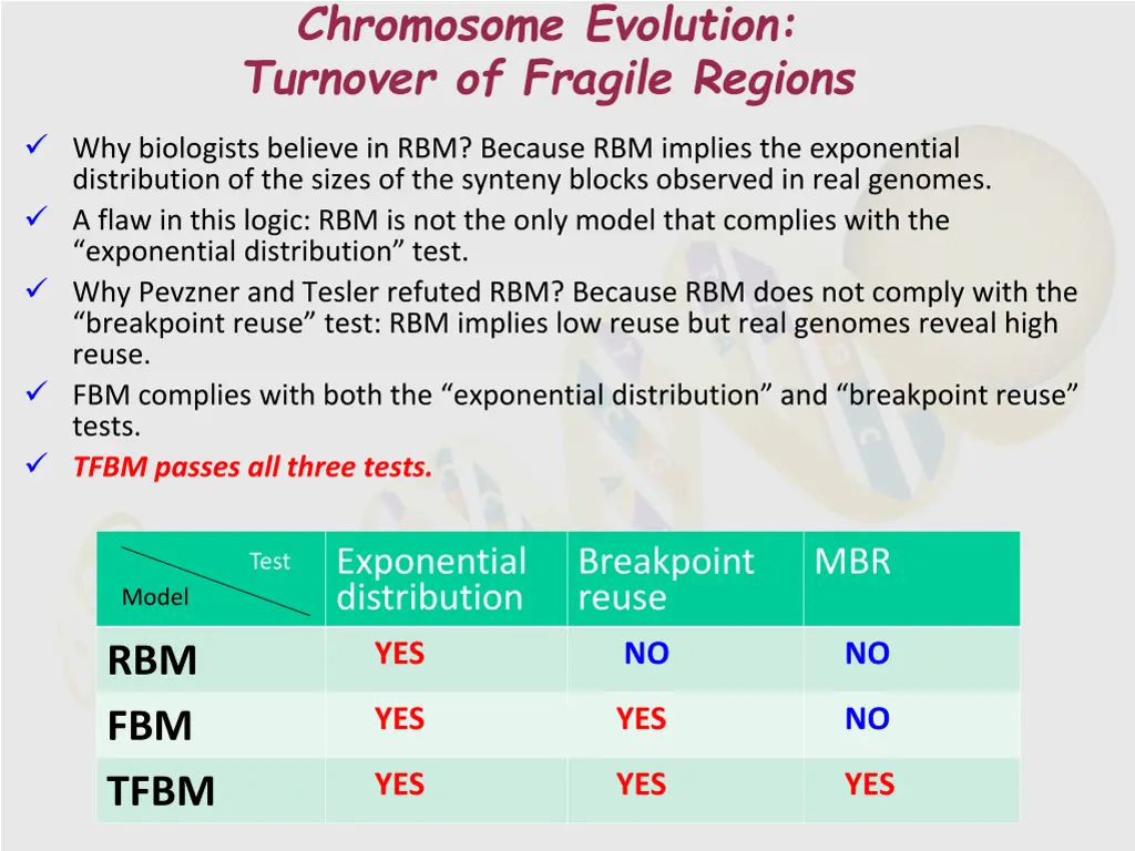 chromosome evolution turnover of fragile regions