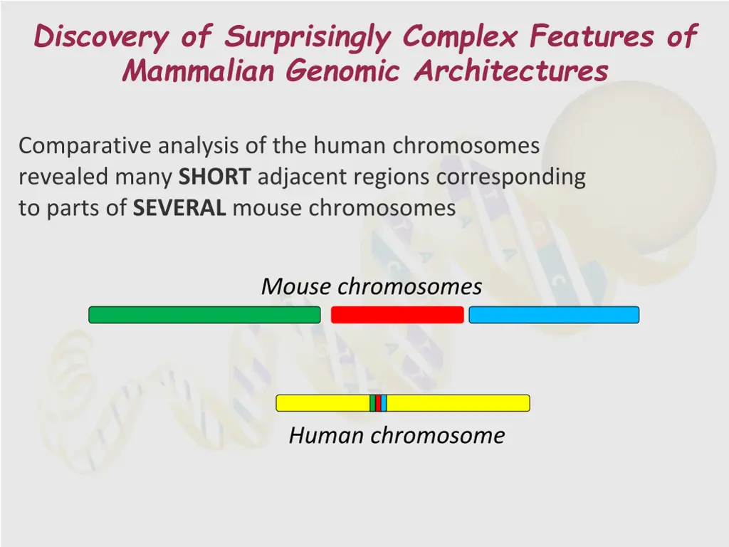 discovery of surprisingly complex features