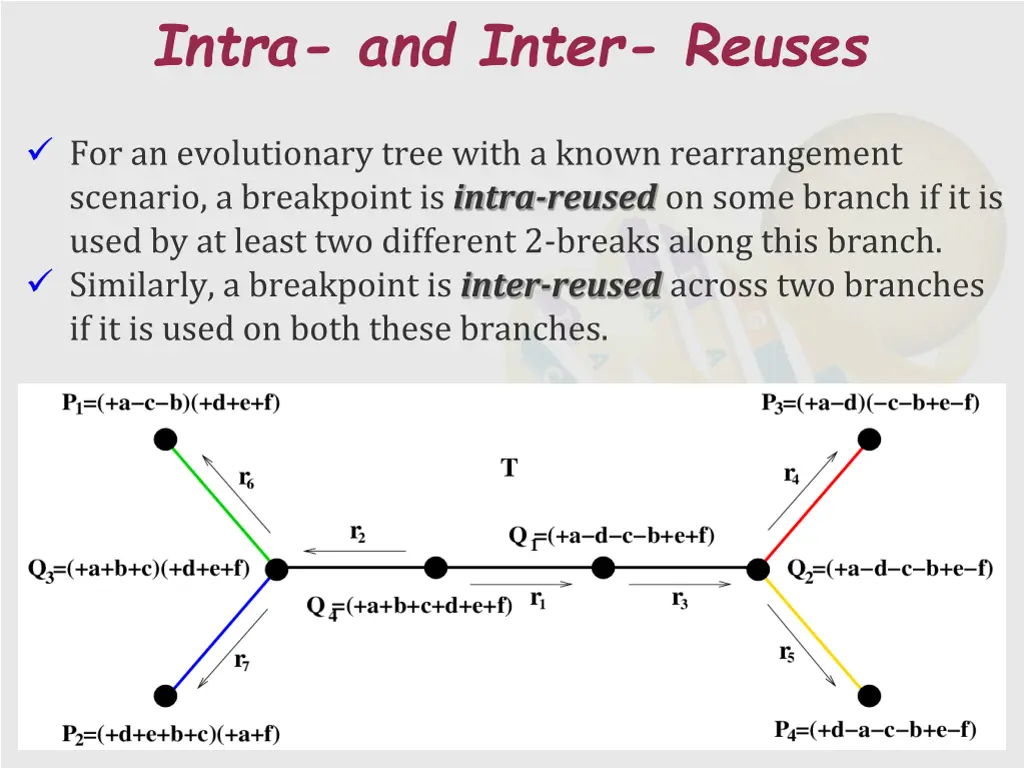 intra and inter reuses