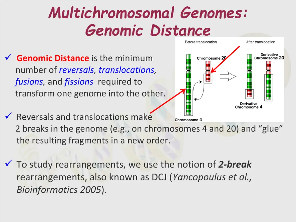multichromosomal genomes genomic distance