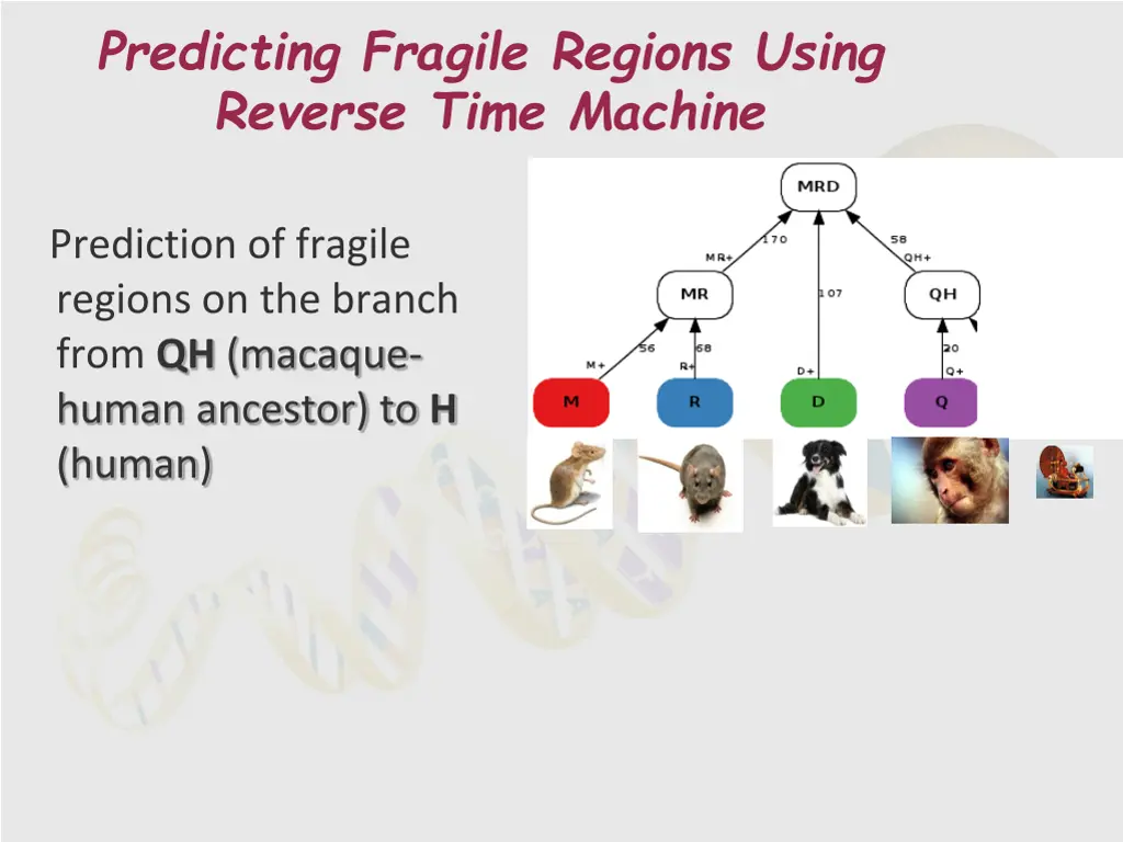 predicting fragile regions using reverse time 1