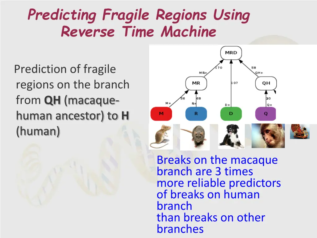 predicting fragile regions using reverse time 2