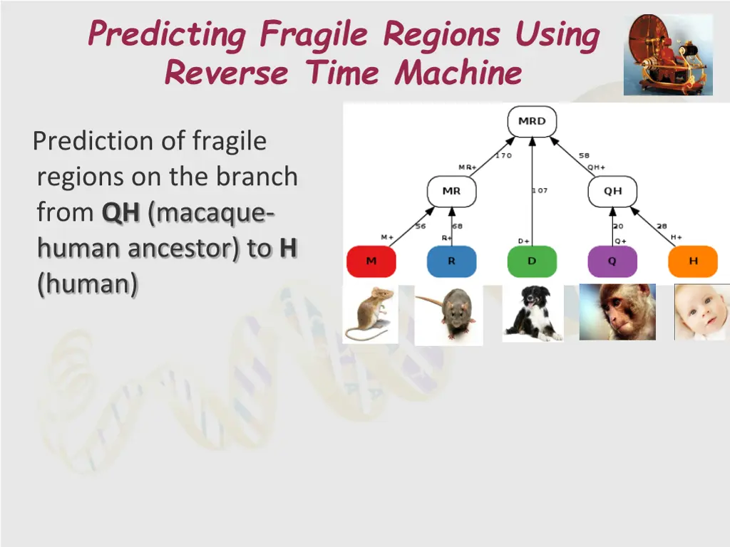 predicting fragile regions using reverse time