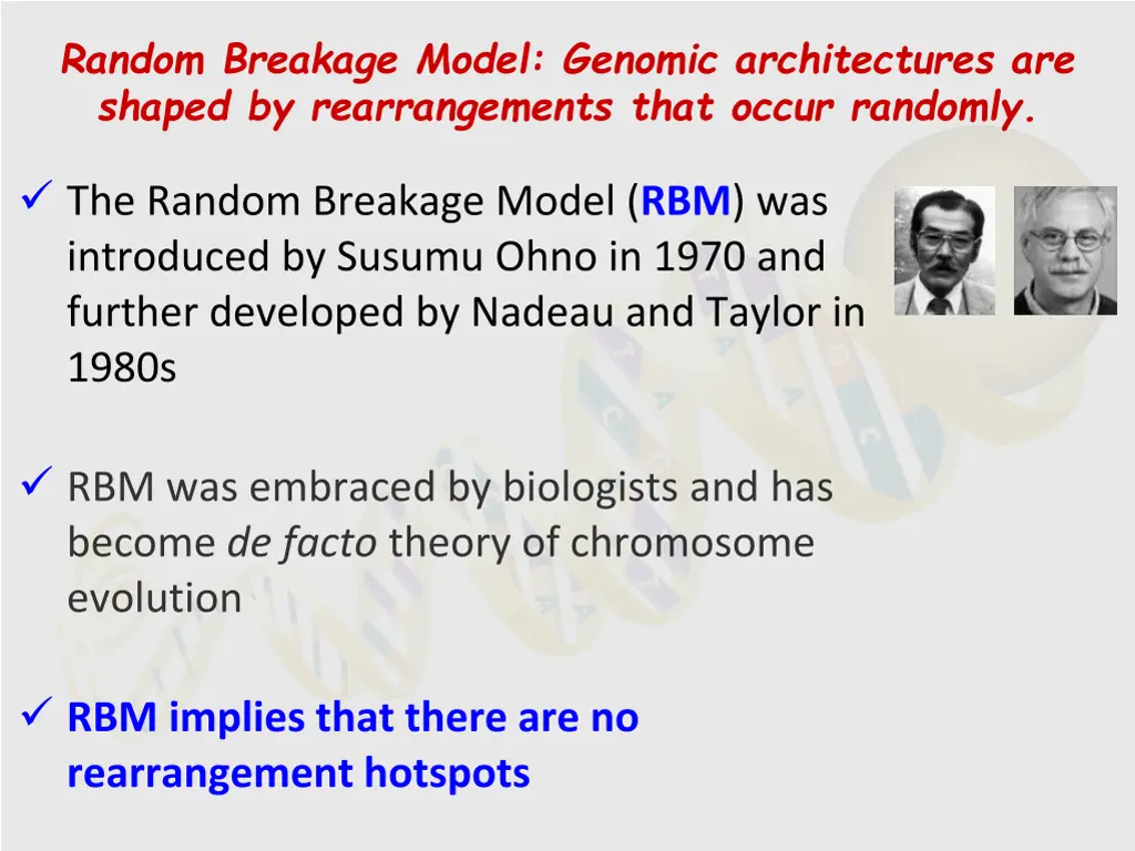 random breakage model genomic architectures