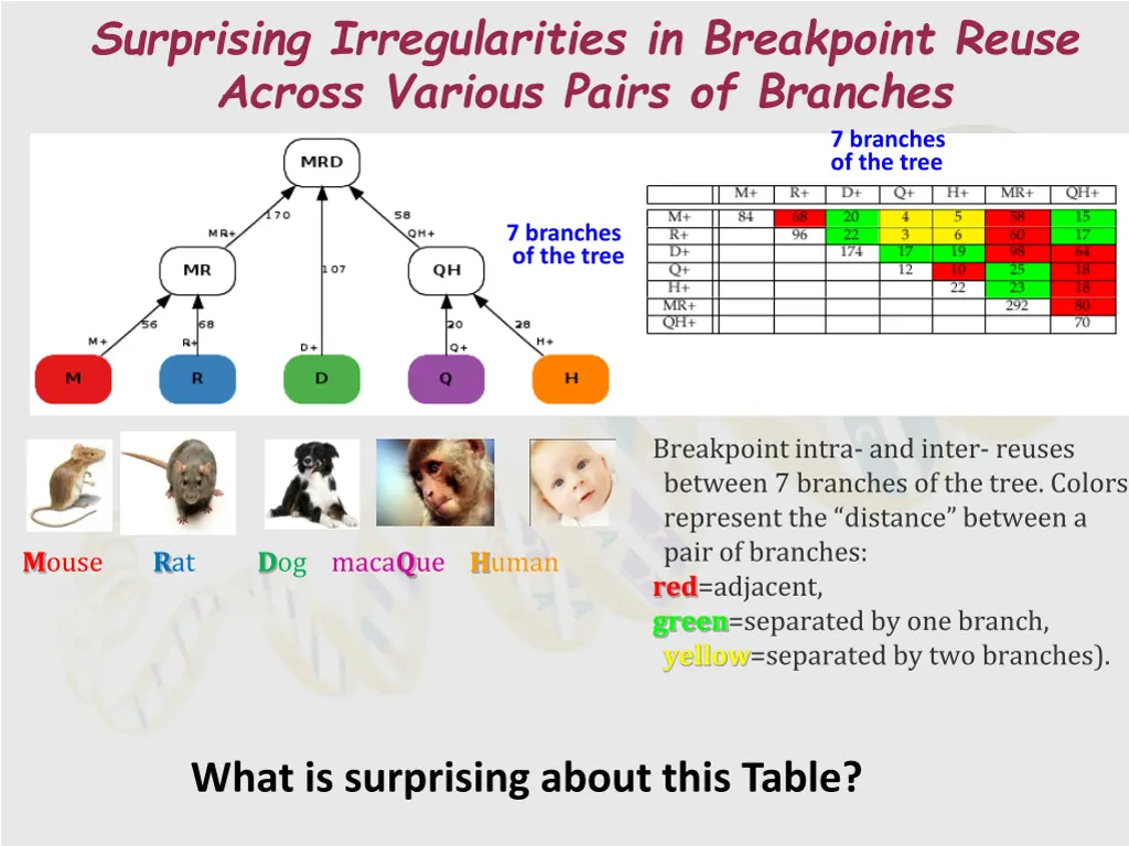 surprising irregularities in breakpoint reuse