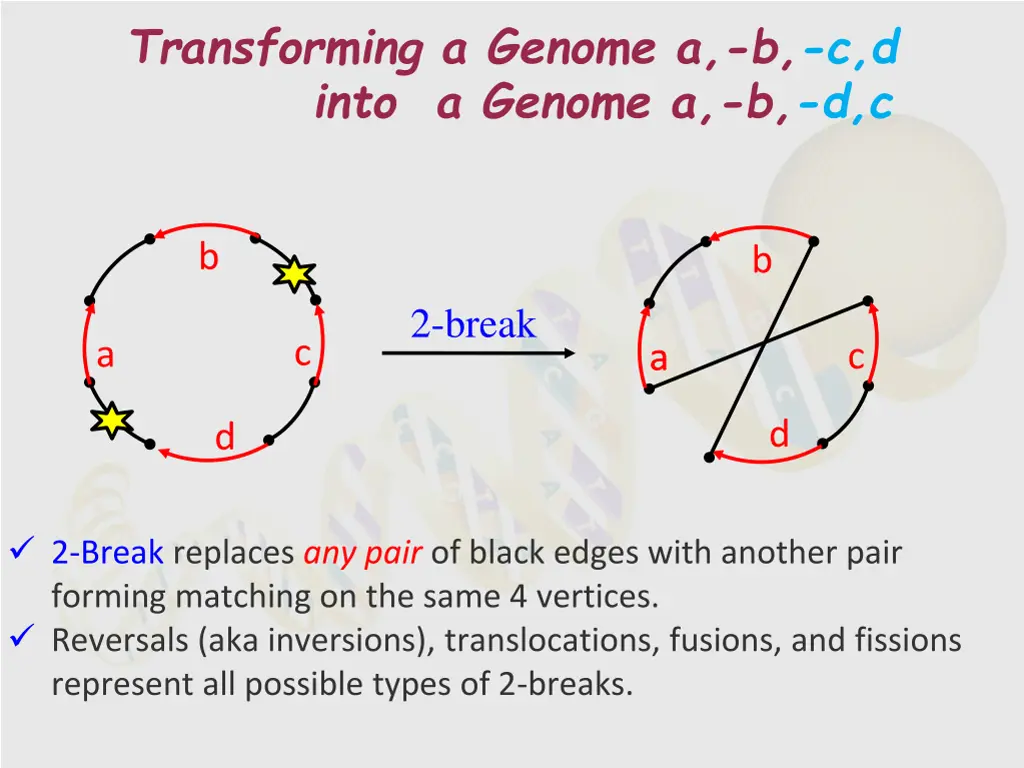 transforming a genome a b c d into a genome