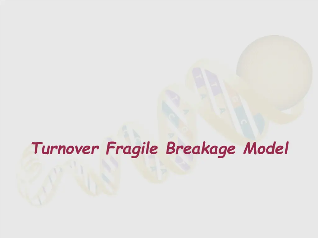 turnover fragile breakage model