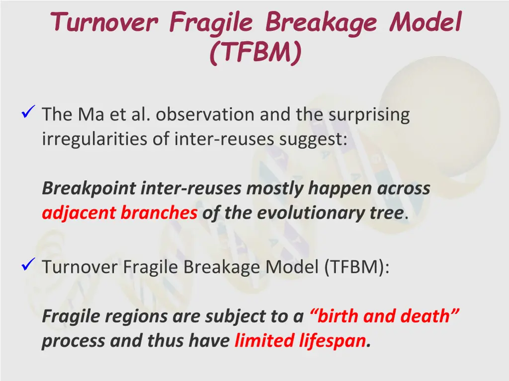 turnover fragile breakage model tfbm