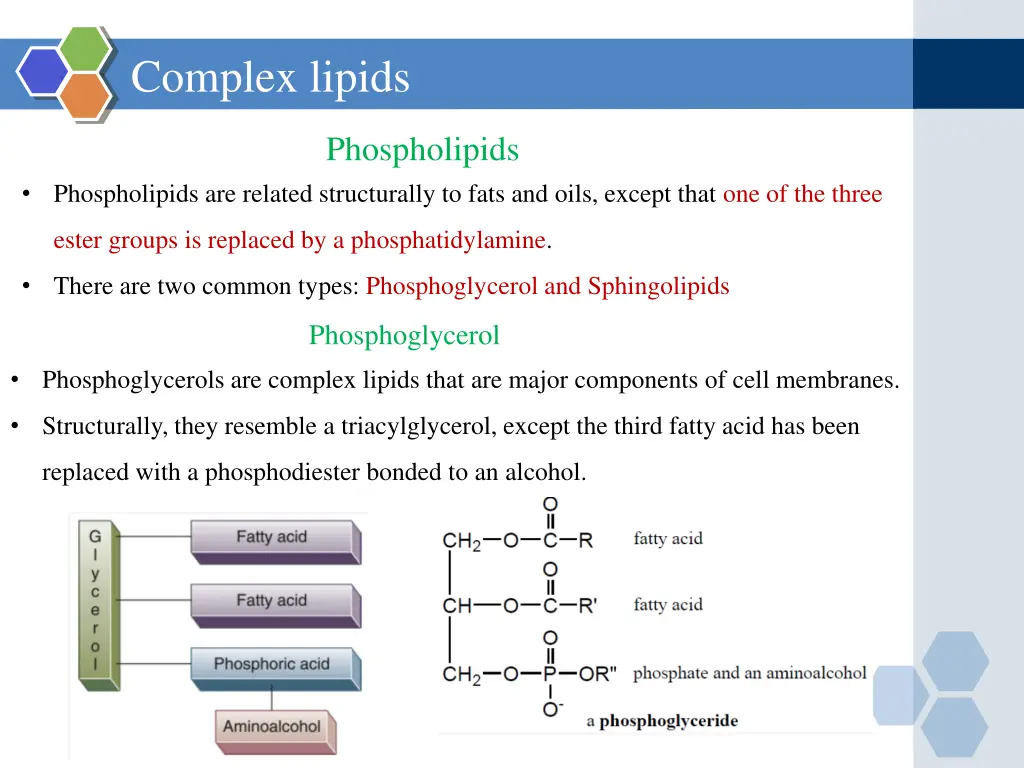 complex lipids