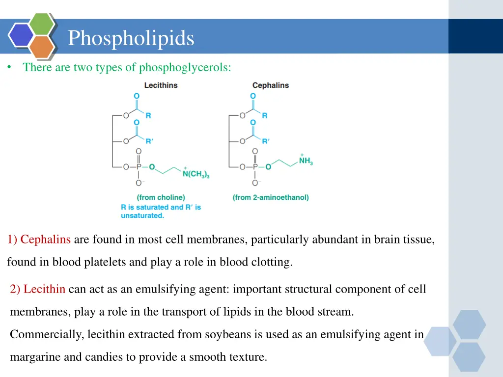 phospholipids