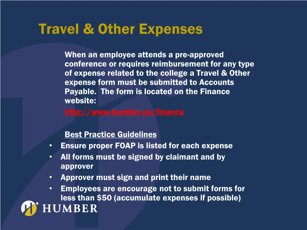 travel other expenses