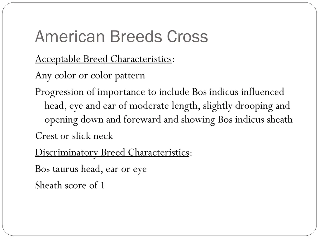 american breeds cross 1