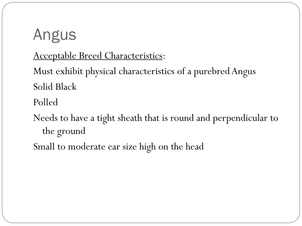 angus 1