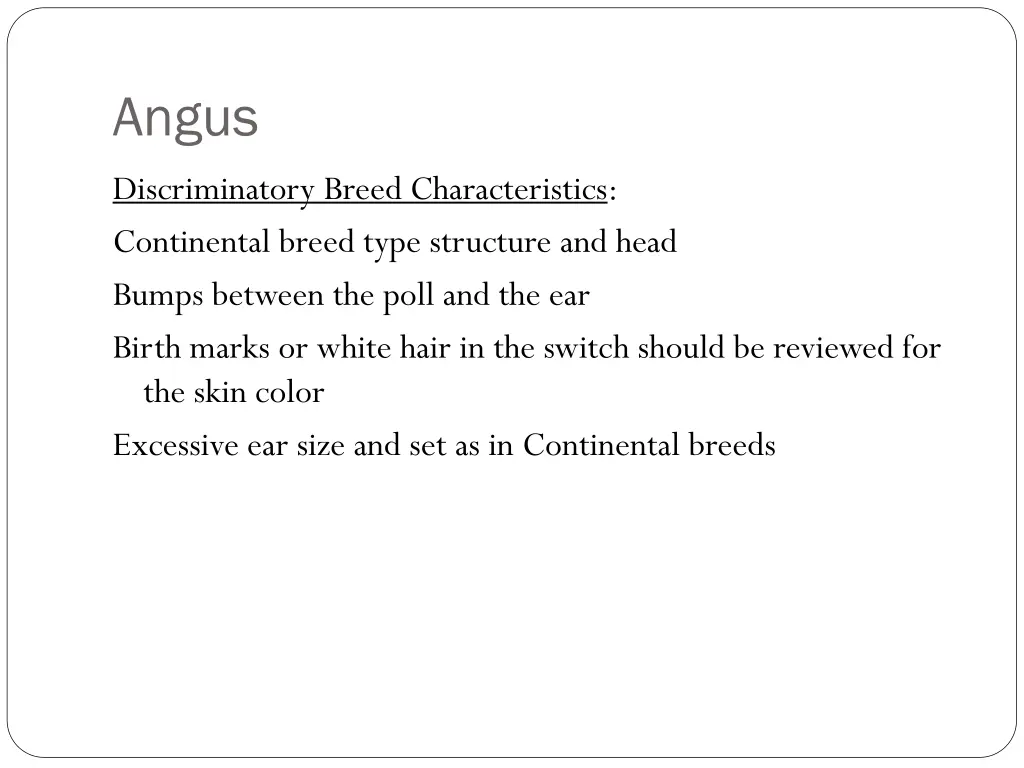 angus 2