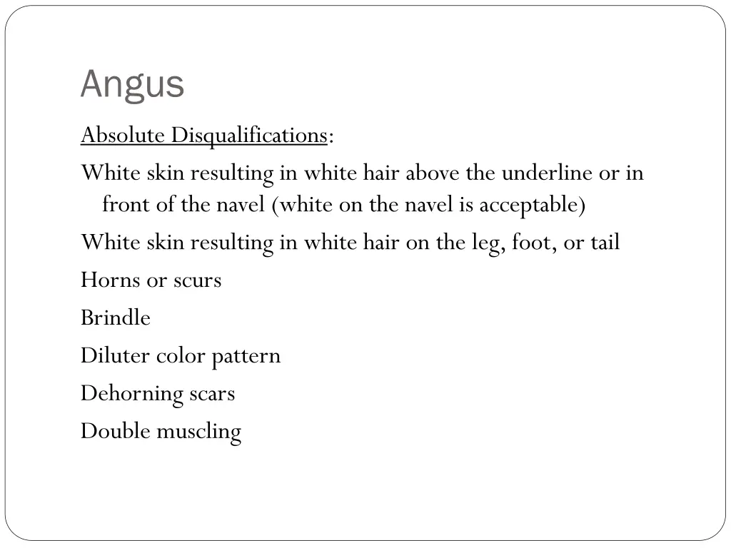 angus 3