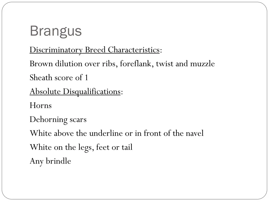 brangus 2