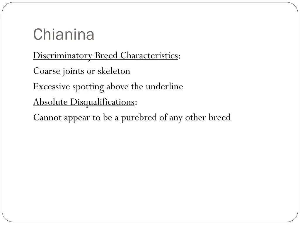 chianina 2