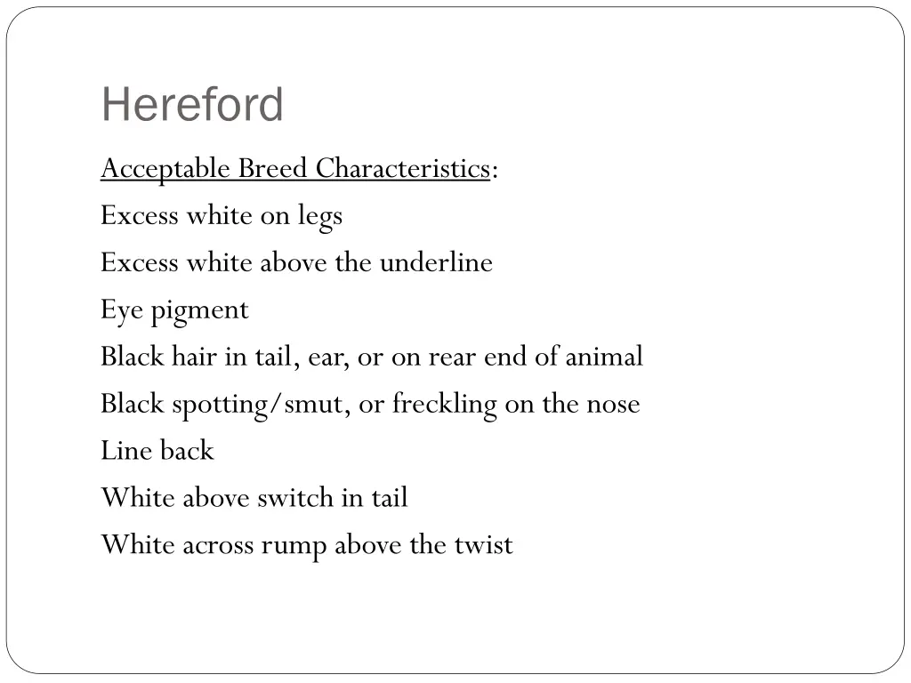 hereford 1