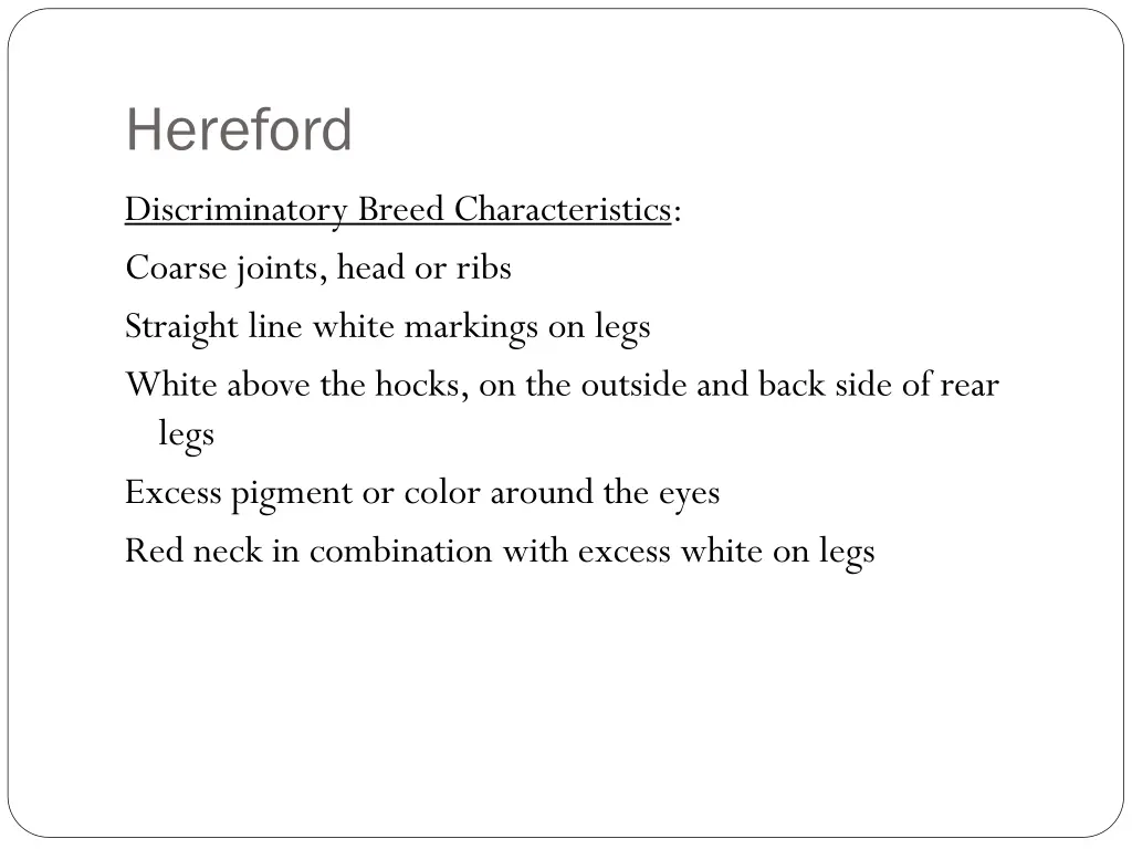 hereford 2