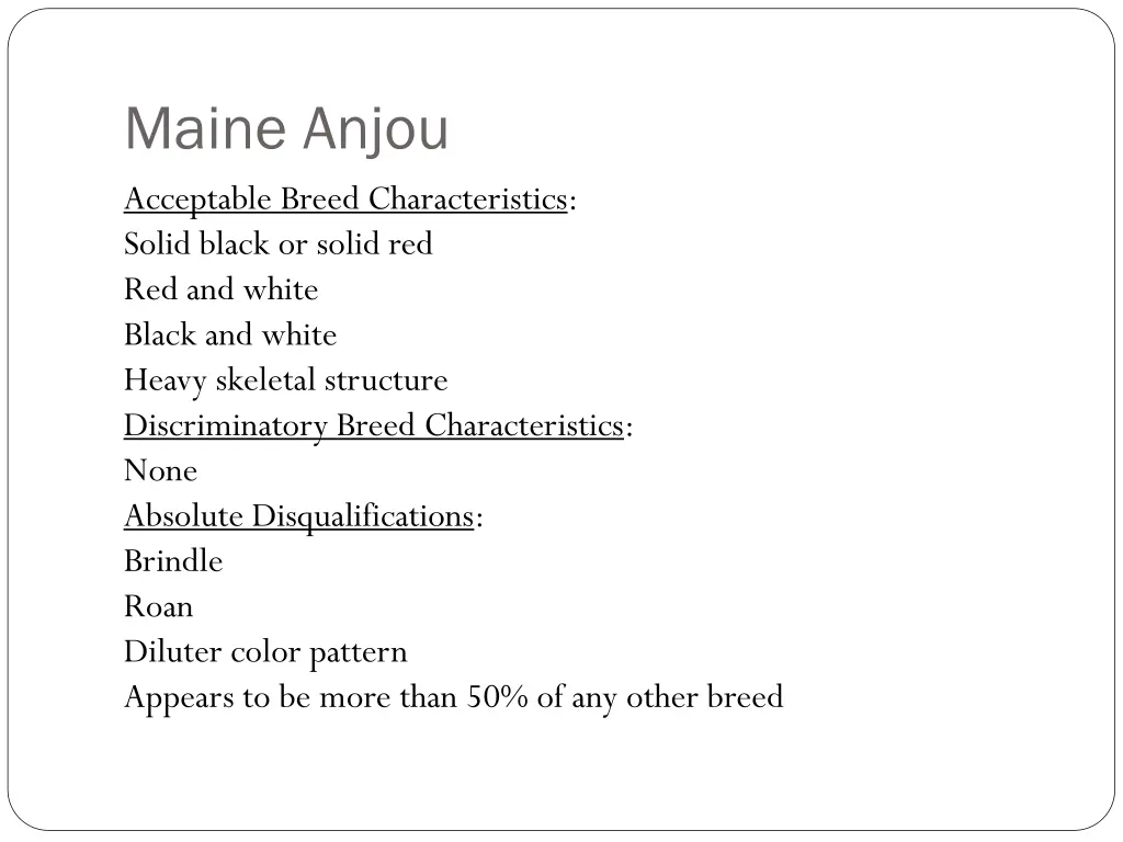 maine anjou acceptable breed characteristics