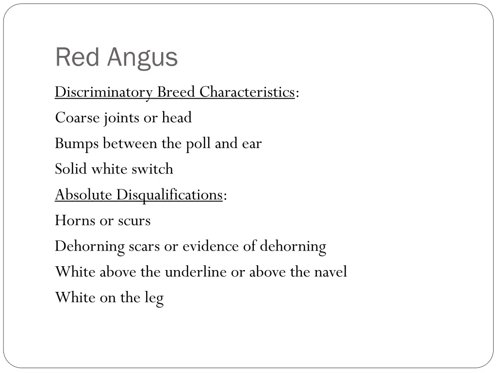 red angus 2