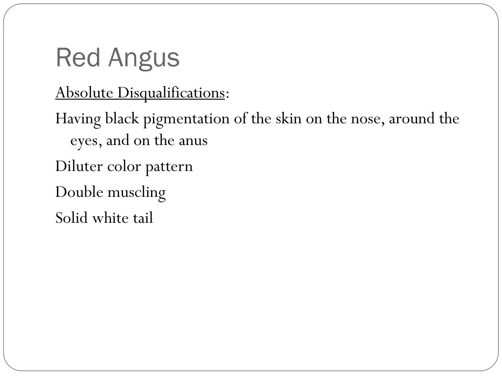 red angus 3