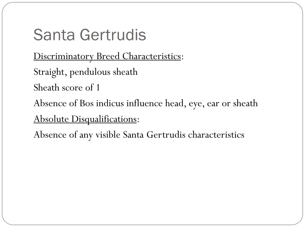 santa gertrudis 2