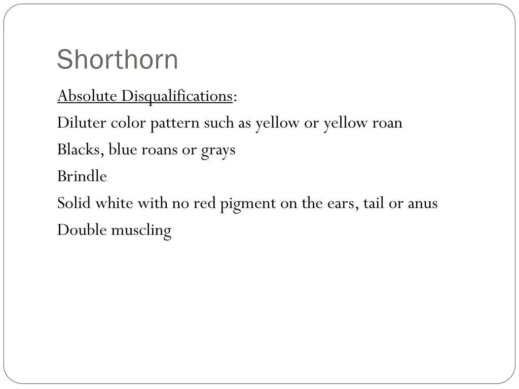 shorthorn 1
