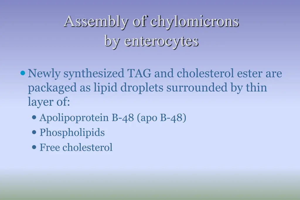 assembly of chylomicrons by enterocytes