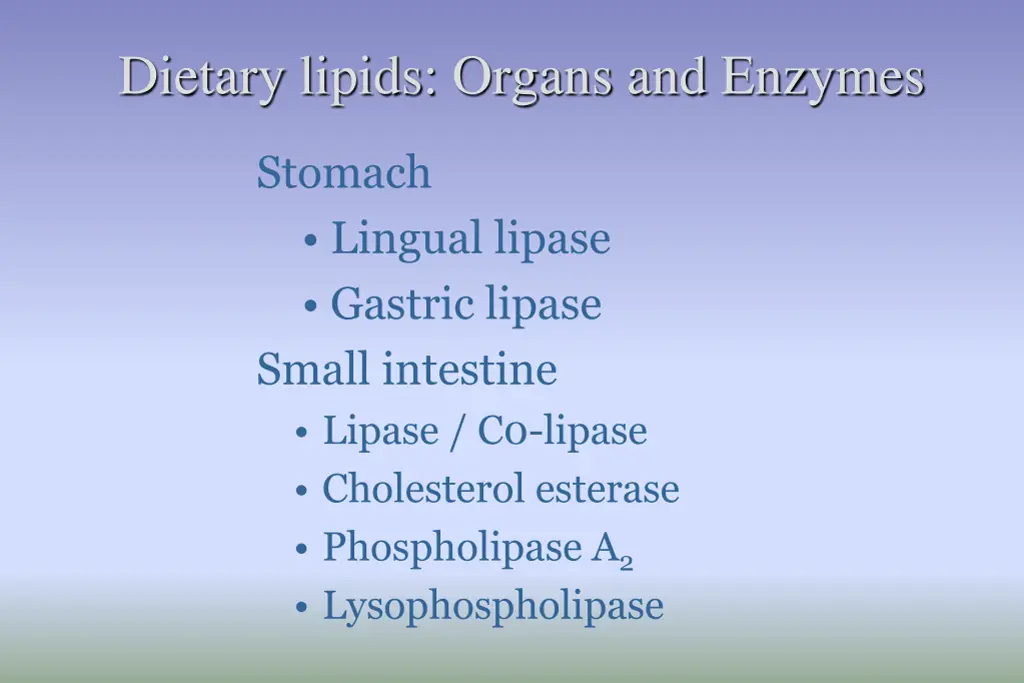 dietary lipids organs and enzymes