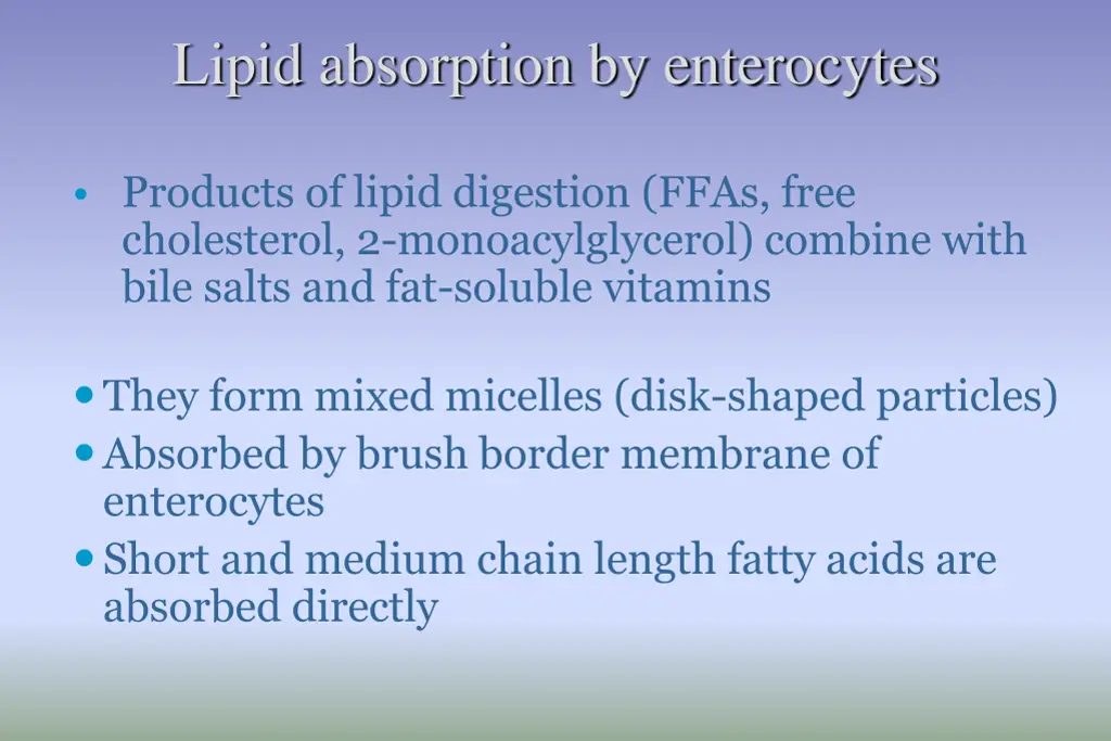 lipid absorption by enterocytes