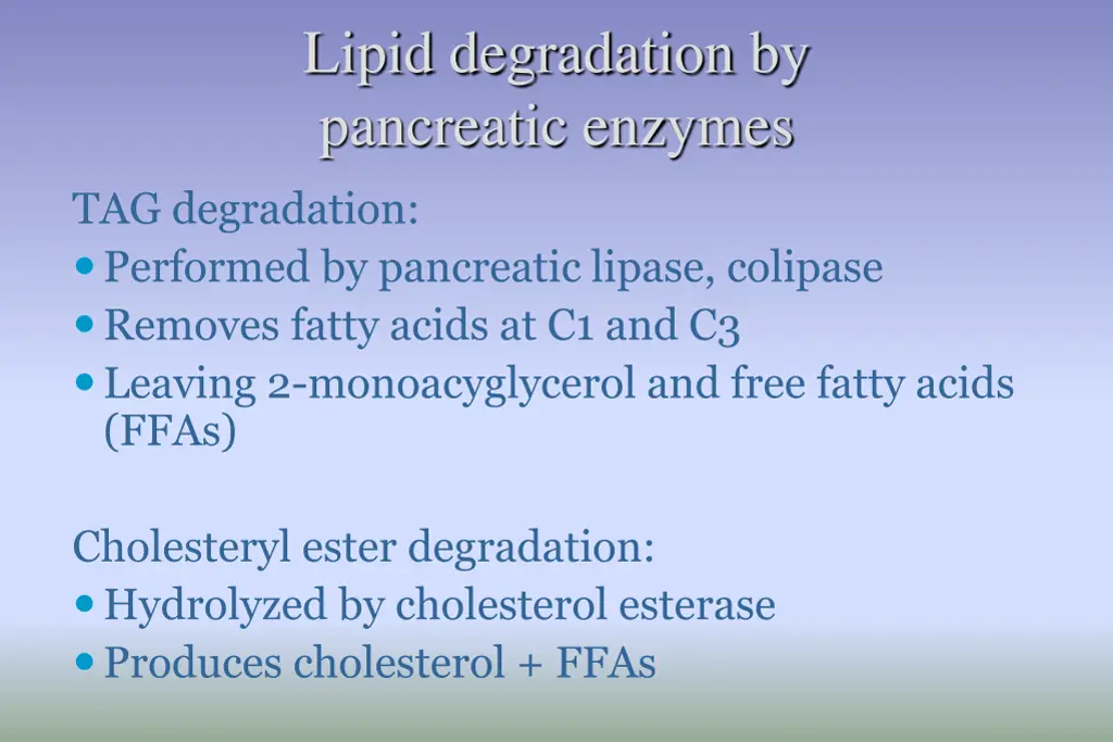 lipid degradation by pancreatic enzymes