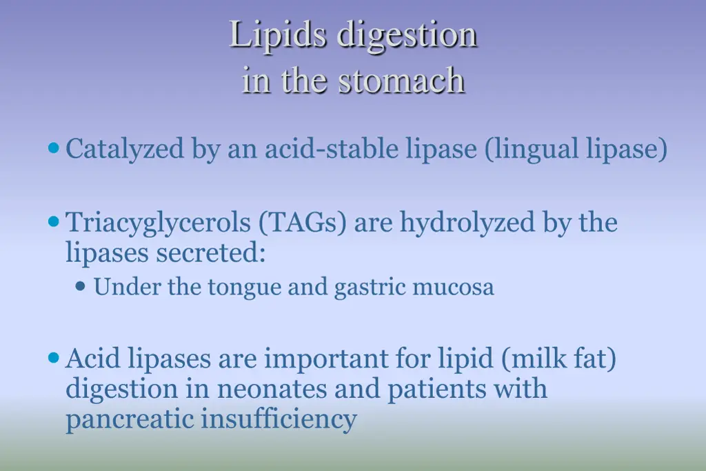 lipids digestion in the stomach