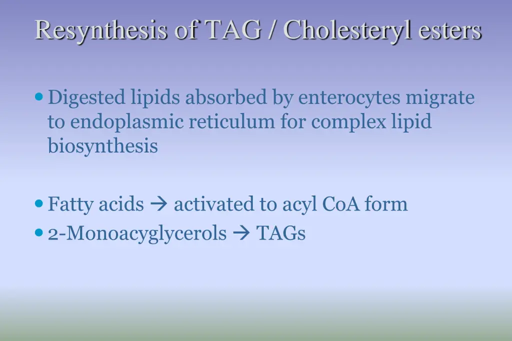 resynthesis of tag cholesteryl esters