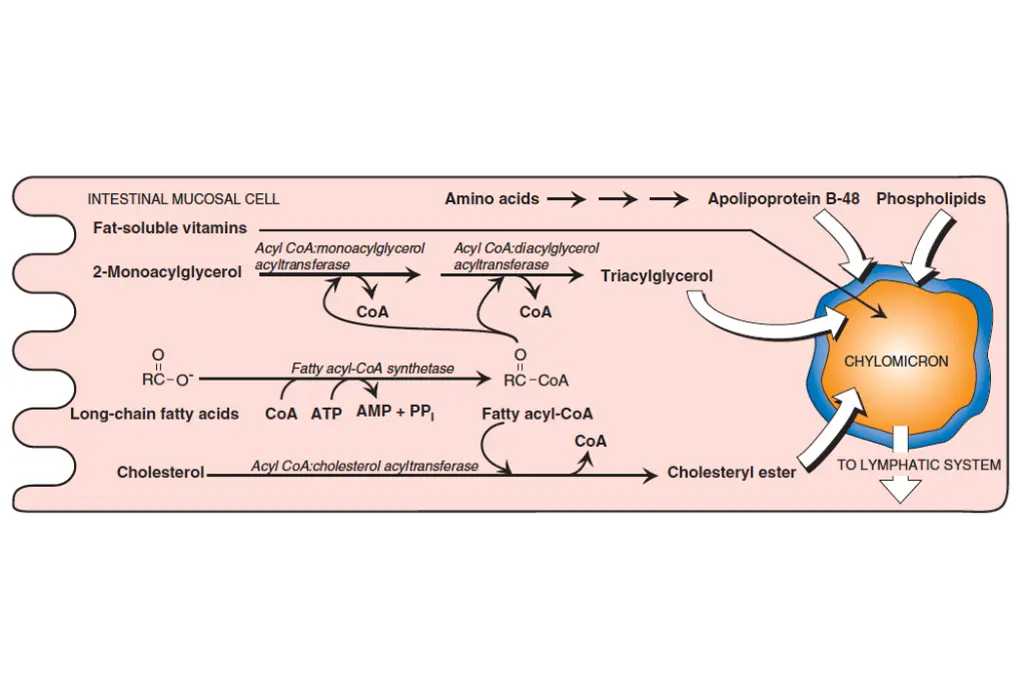 slide20