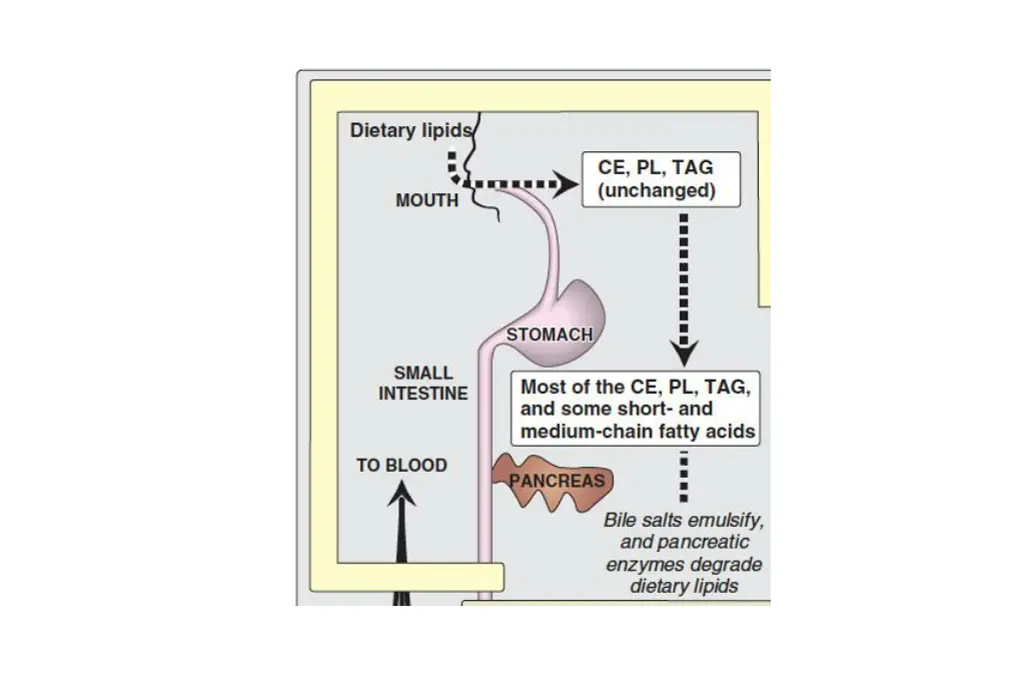 slide7