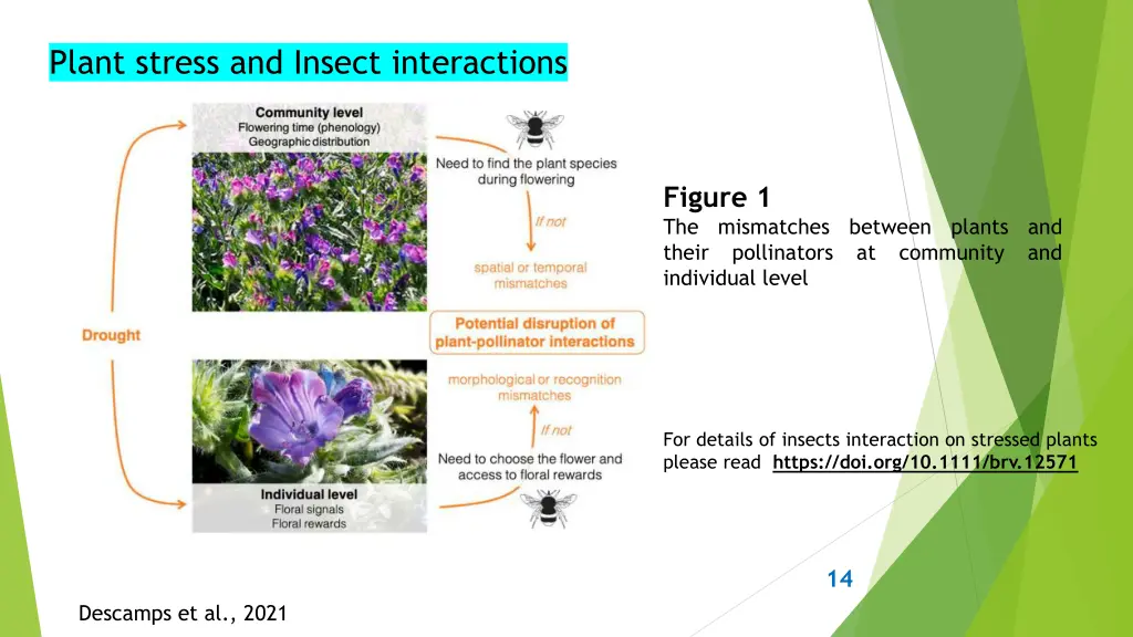 plant stress and insect interactions 11