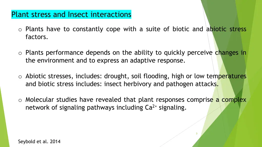 plant stress and insect interactions
