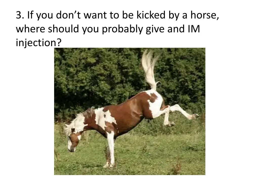 3 if you don t want to be kicked by a horse where