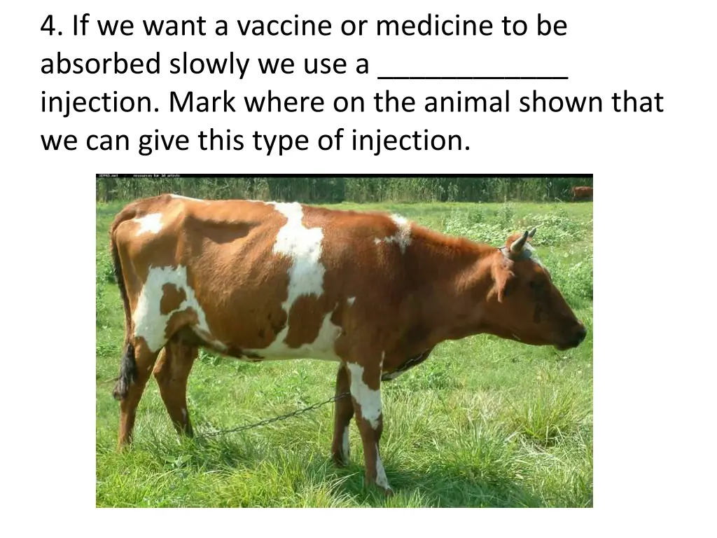 4 if we want a vaccine or medicine to be absorbed