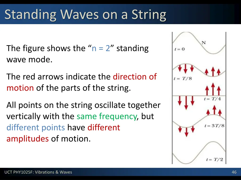 standing waves on a string 2